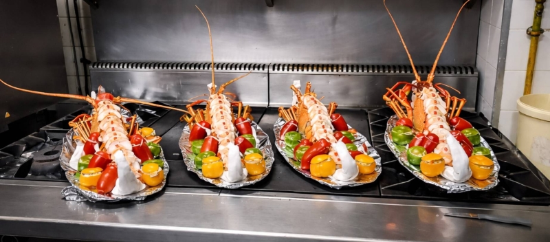 Le restaurant - Le Bistrot De La Mer - Jardin Exotique de Roscoff - l’Île de Batz  - restaurant ROSCOFF - Resto Roscoff - Fruit de mer Roscoff - Restaurant Vieux Port de Roscoff - Resto Roscoff